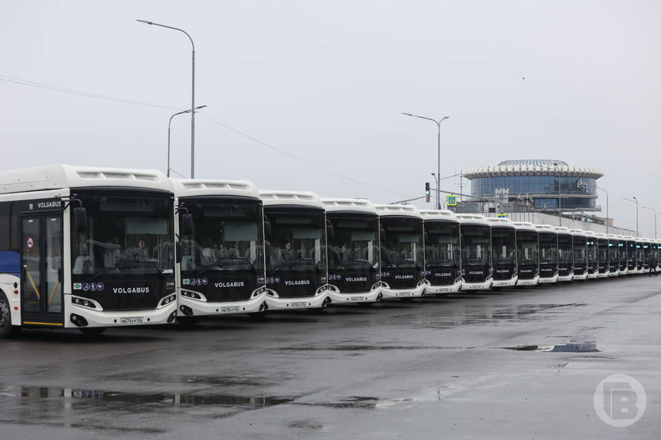 Мишустин: Волгоградская область в числе регионов с активной модернизацией парка общественного транспорта
