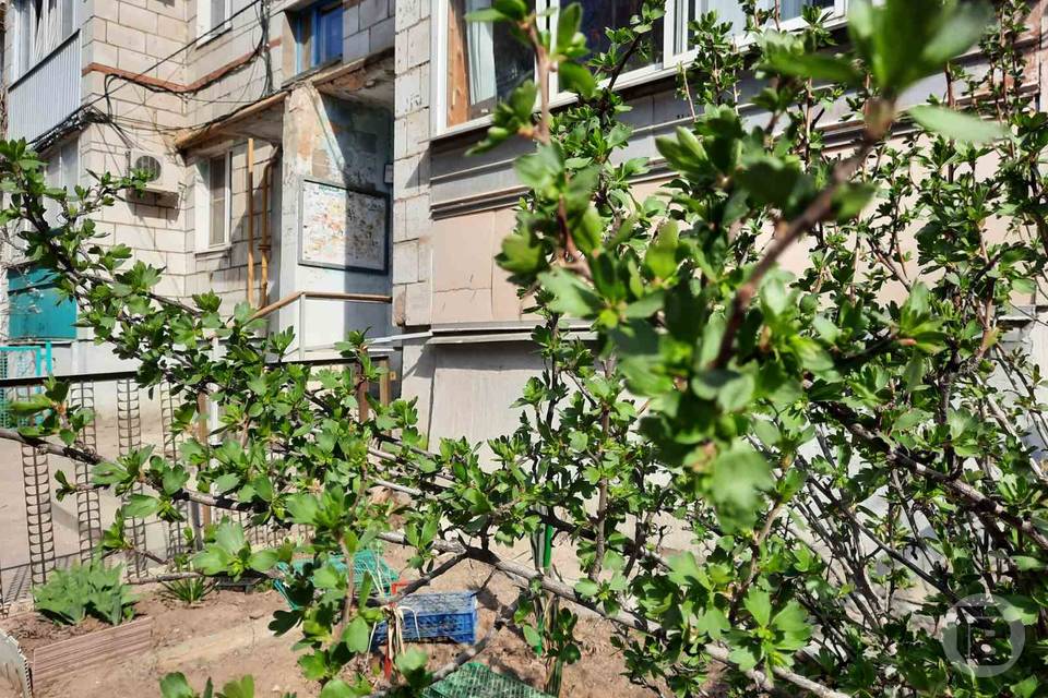 О погоде в Волгограде и области 10 апреля сообщают синоптики