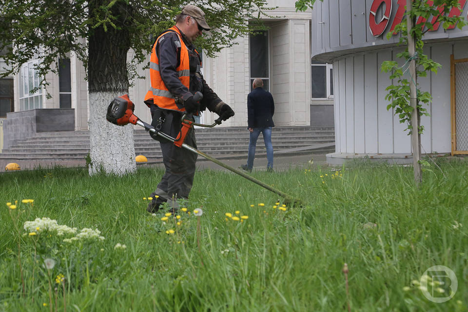 В Волгограде инспекторы проверяют, как управляющие компании наводят порядок
