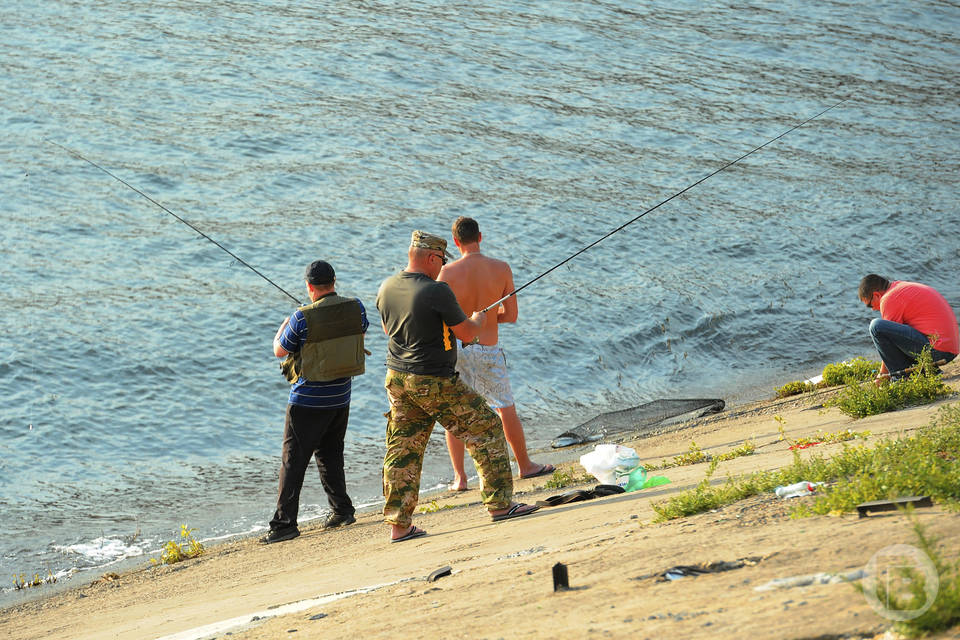 В Волгограде нашли мертвым рыбака, пропавшего месяц назад