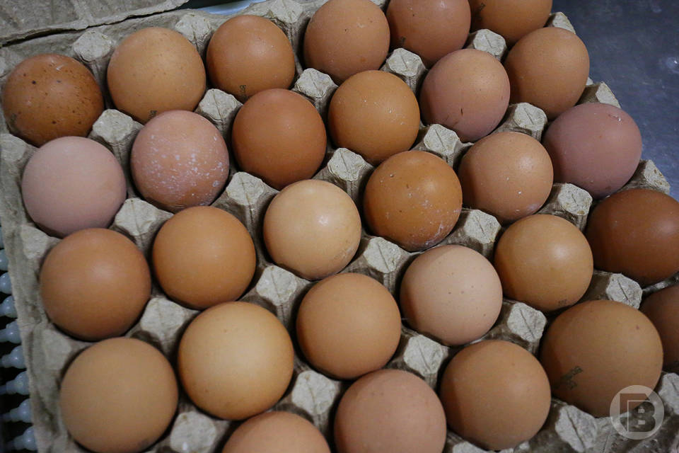 Яйца упали в цене перед Пасхой в Волгограде
