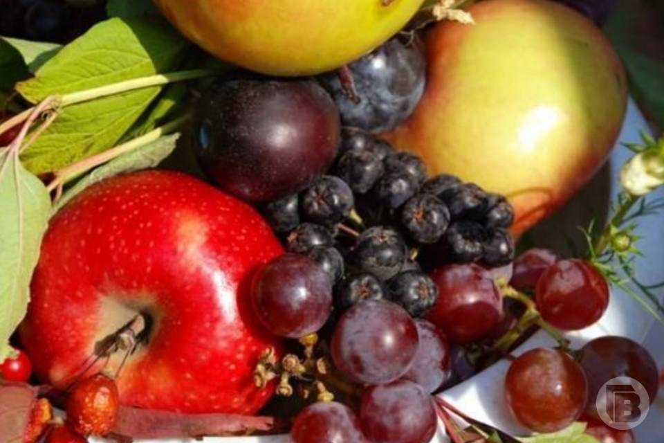Гастроэнтеролог Утюмова назвала виноград самой вредной ягодой