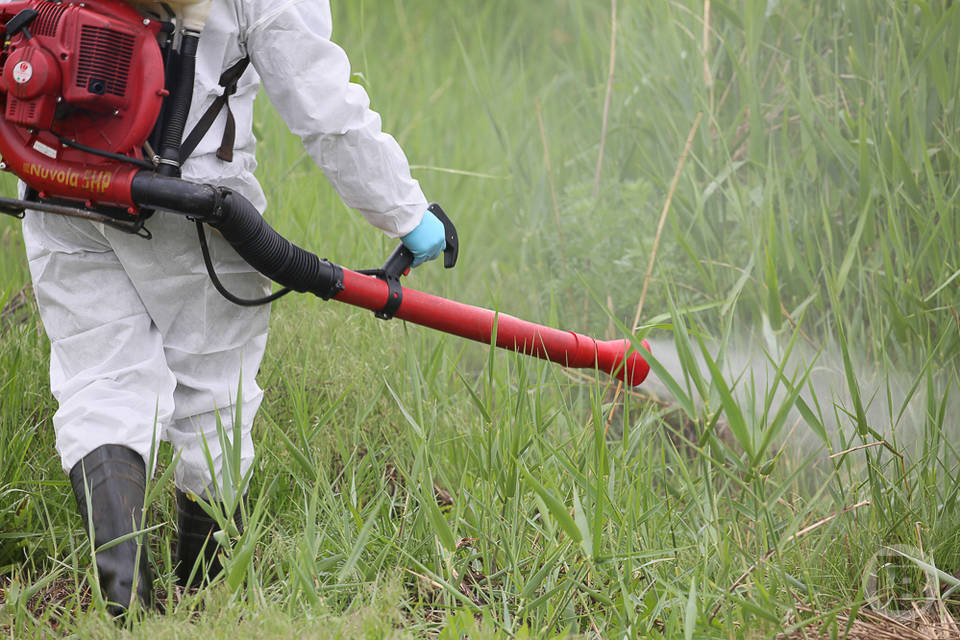 В Волгоградской области для борьбы с комарами обрабатывают берега водоемов