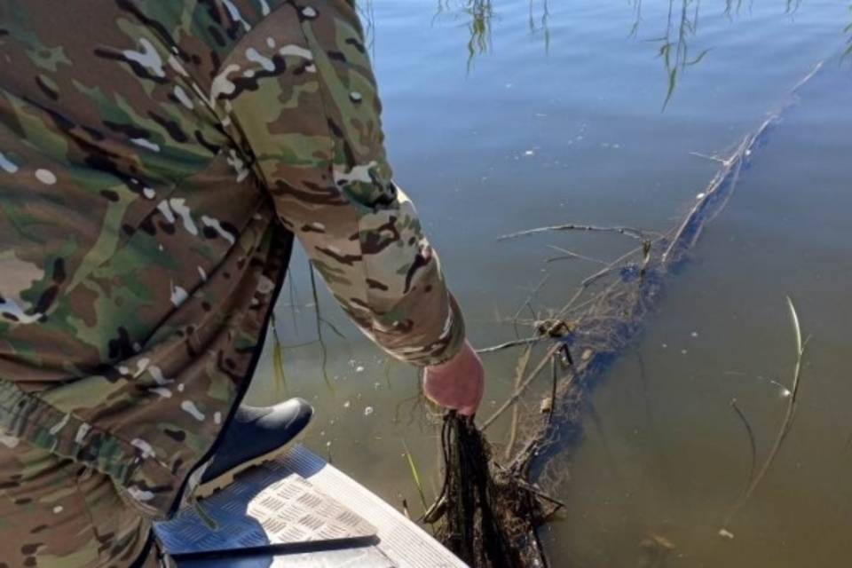 В Волгоградской области инспекторы нашли две тонны рыбы, брошенной в сетях