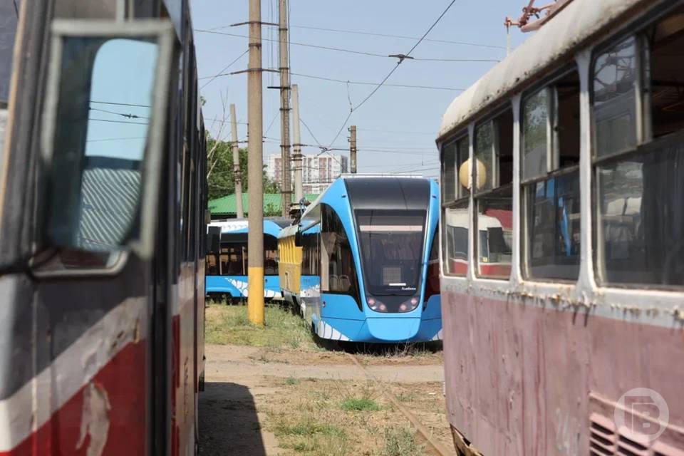 Первые десять трамваев модели «Львенок» выходят на линию в Волгограде