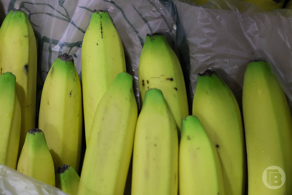 В Волгограде капуста, бананы и помидоры стали дешевле