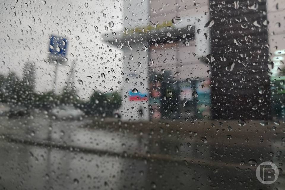 Гидрометцентр РФ прогнозирует пять уровней погодной опасности в Волгограде