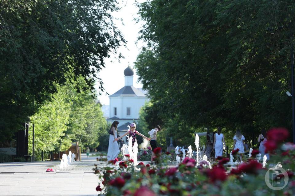 Волгоградцев просят не выходить на улицу из-за адской жары