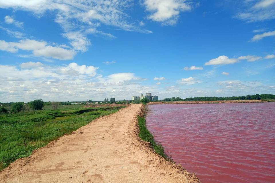Возбуждено дело из-за ядовитых прудов-накопителей в Елани Волгоградской области