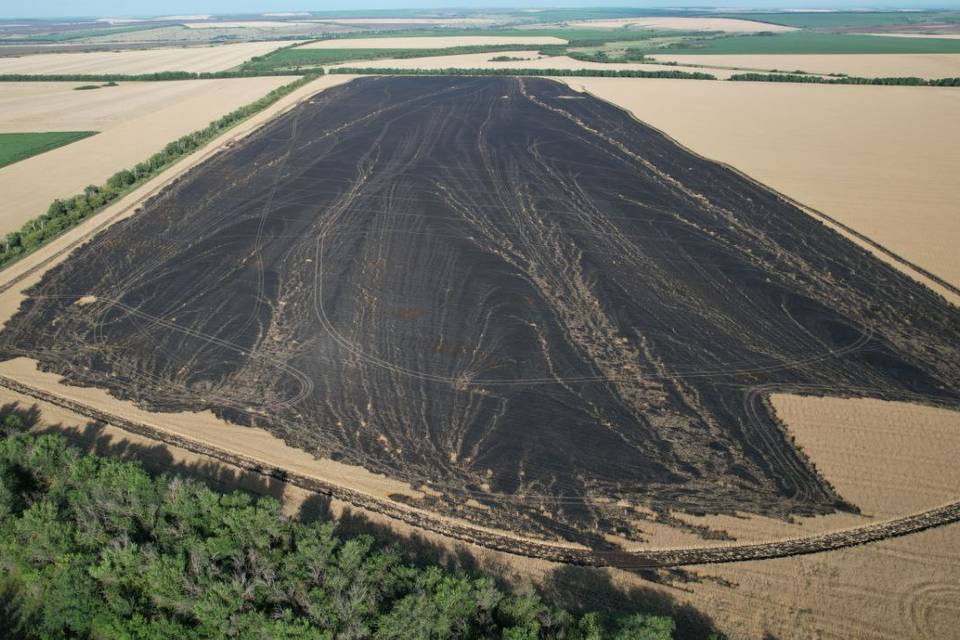 Пожар уничтожил в Волгоградской области почти 60 гектаров пшеницы