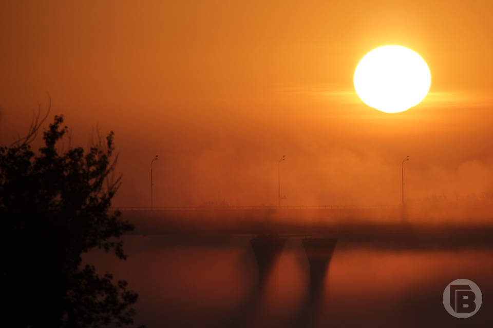На Волгоград обрушится самая мощная в 2024 году солнечная вспышка