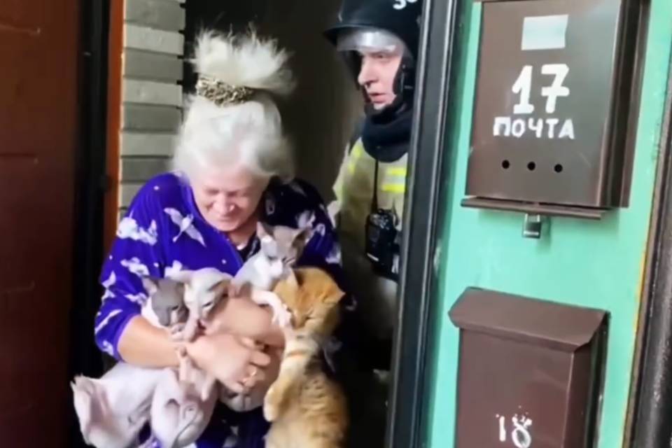 В Волгограде из многоэтажки эвакуировали жильцов вместе с котами и собаками