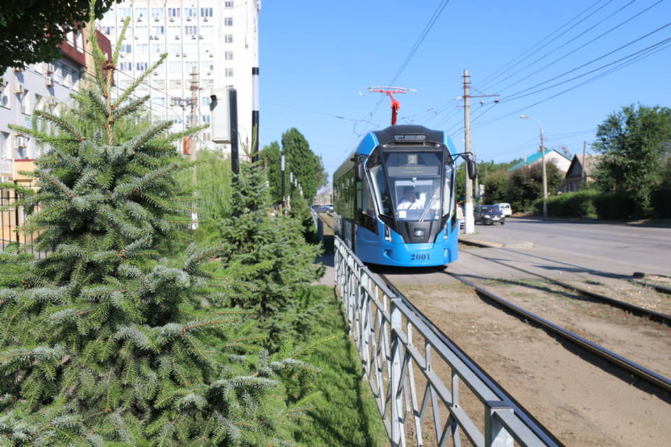 В Волгограде на трамваях «Львенок» прокатились 248 тысяч пассажиров за месяц