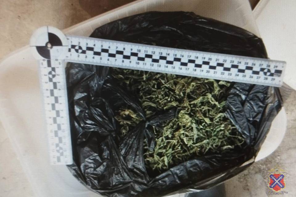 Волгоградца задержали за хранение 1,7 кг наркотиков