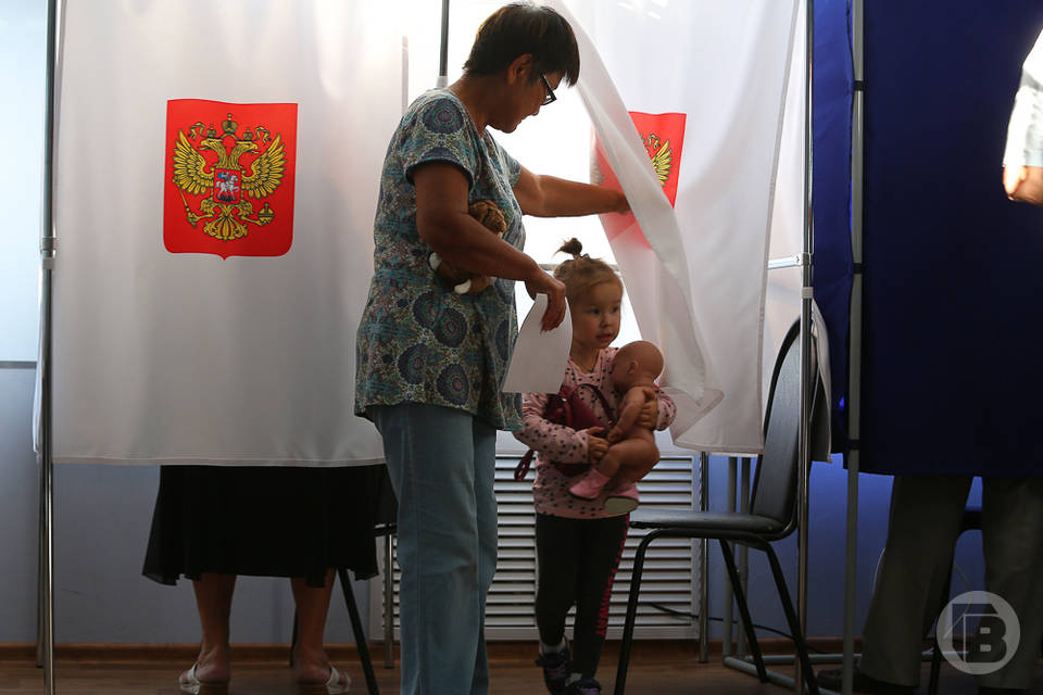 В выборную гонку в Волгоградском регионе включились 113 участников СВО и членов их семей