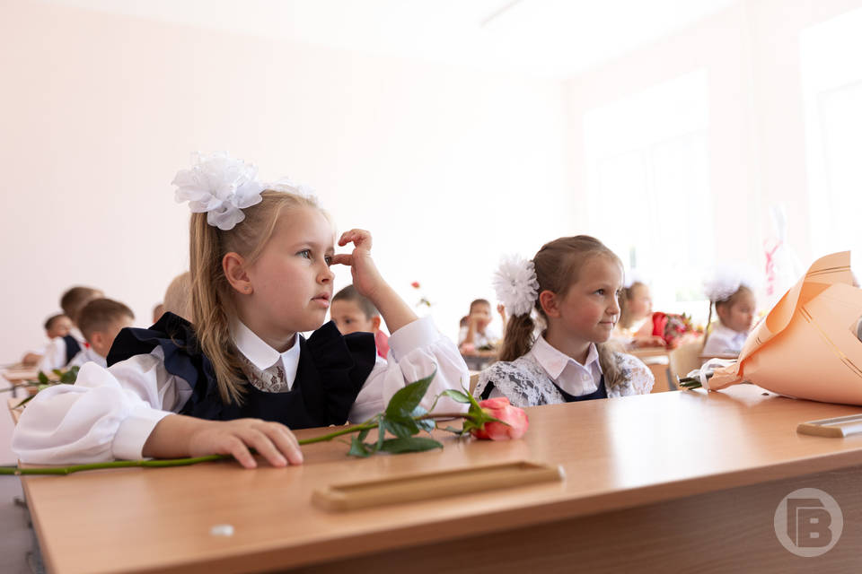 Сколько стоит подготовить ребенка к школе в Волгоградской области