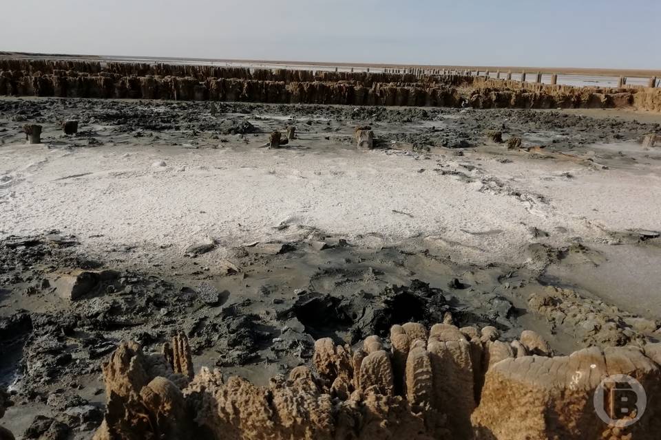 В Волгоградской области у озера Эльтон обозначили границы природоохранной зоны