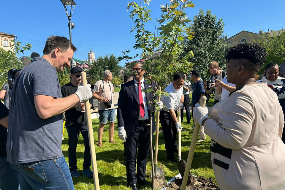 В Волгограде строители из ЮАР и Китая высадили аллею кленов