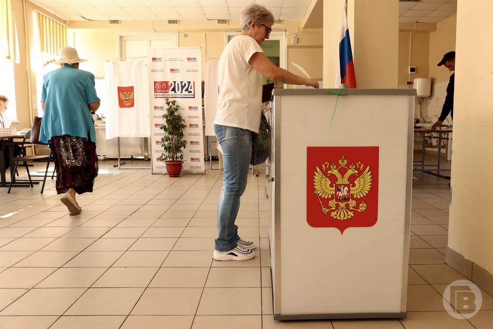 Стала известна явка избирателей в Волгоградской области на 18:00