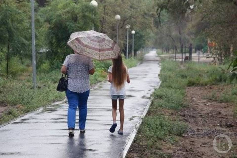 38% волгоградцев считают родной город дорогим