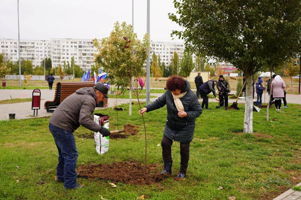 Под Волгоградом неравнодушные граждане высадили 100 молодых деревьев