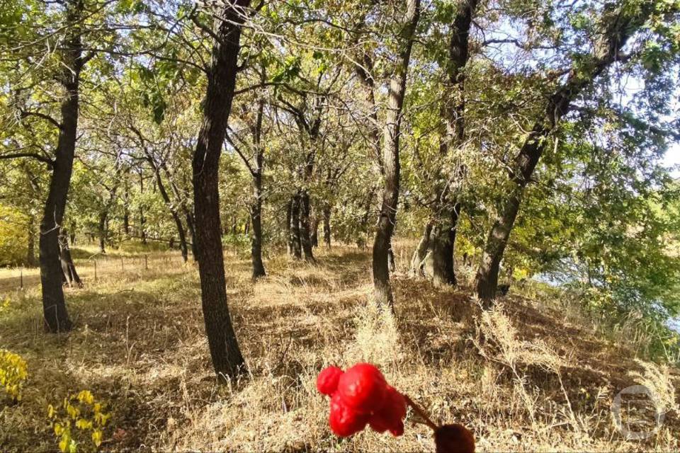 Что можно и что нельзя делать волгоградцам 18 октября, в Харитинин день