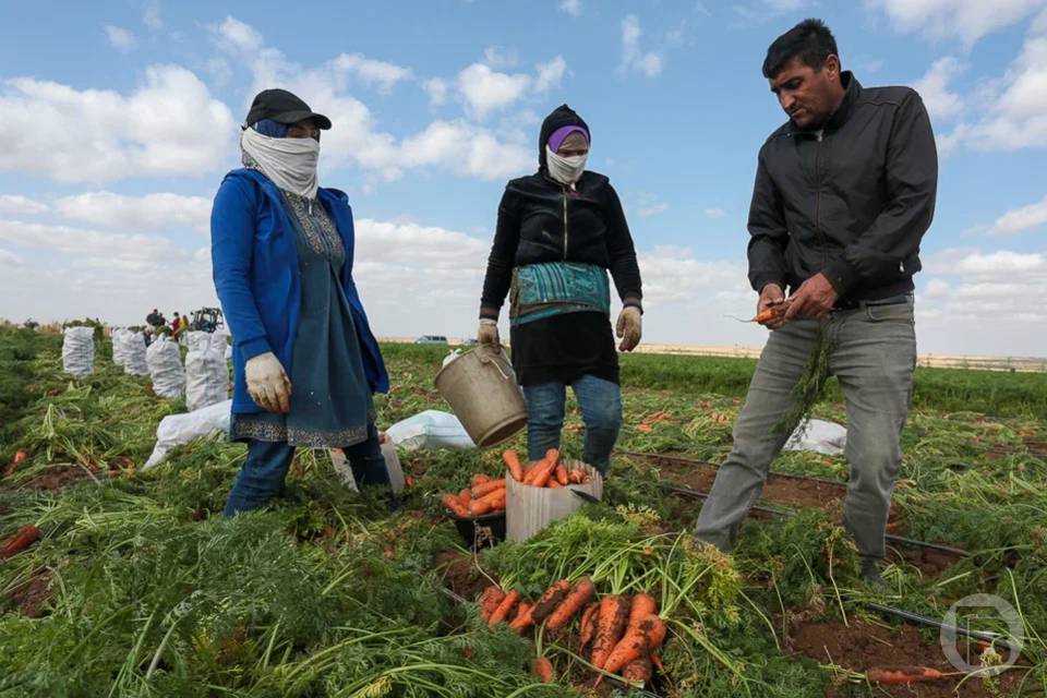 Волгоградке грозит срок за фиктивную прописку восьмерых иностранцев