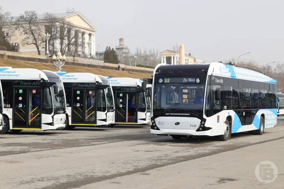 Волгоградцев просят 19 ноября отдать предпочтение общественному транспорту