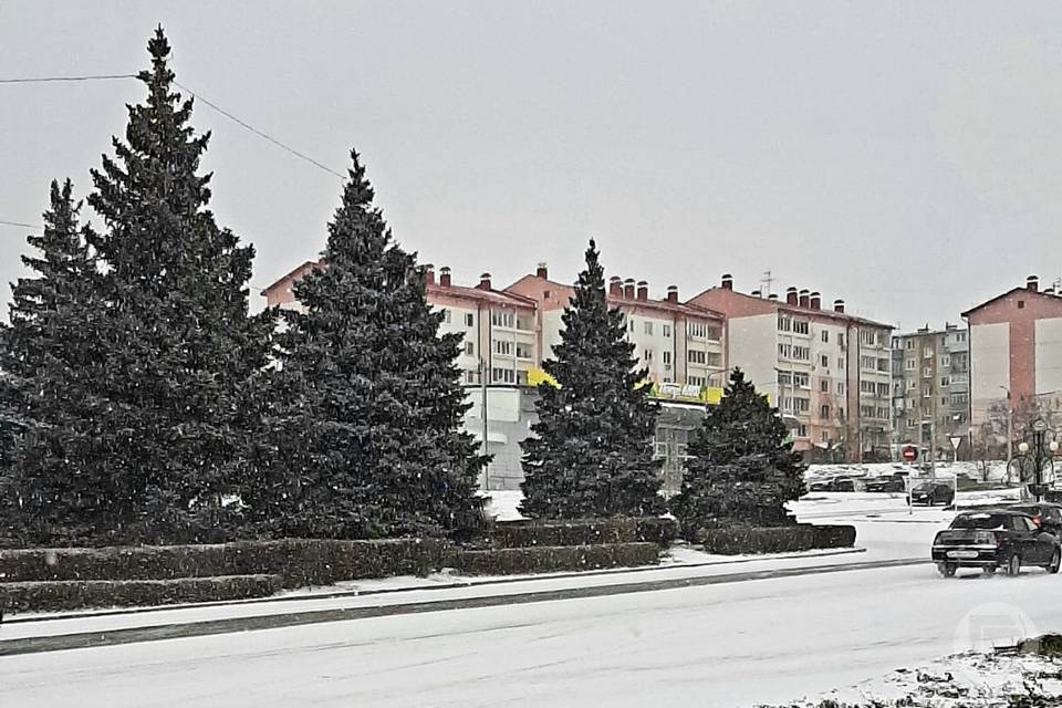 В Волгоградской области собирают новогодние подарки для участников СВО