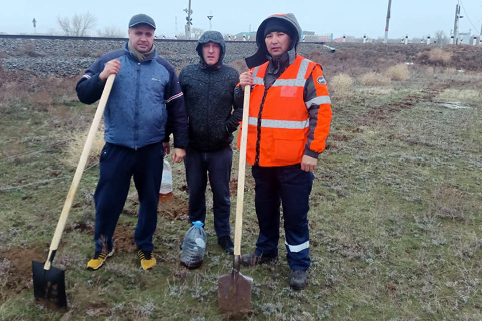 В Волгоградской области станцию Эльтон защитили барбарисом