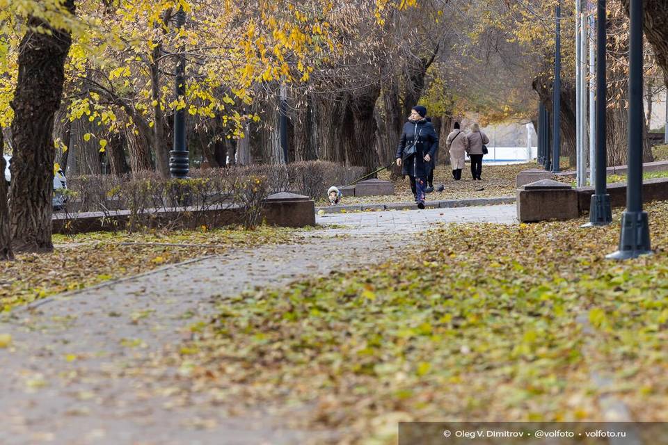 Что нельзя делать 26 ноября, чтобы беда обошла стороной