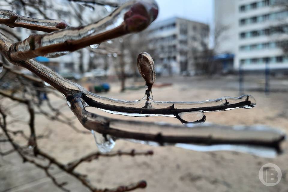 Что нельзя делать волгоградцам 28 ноября, чтобы везло