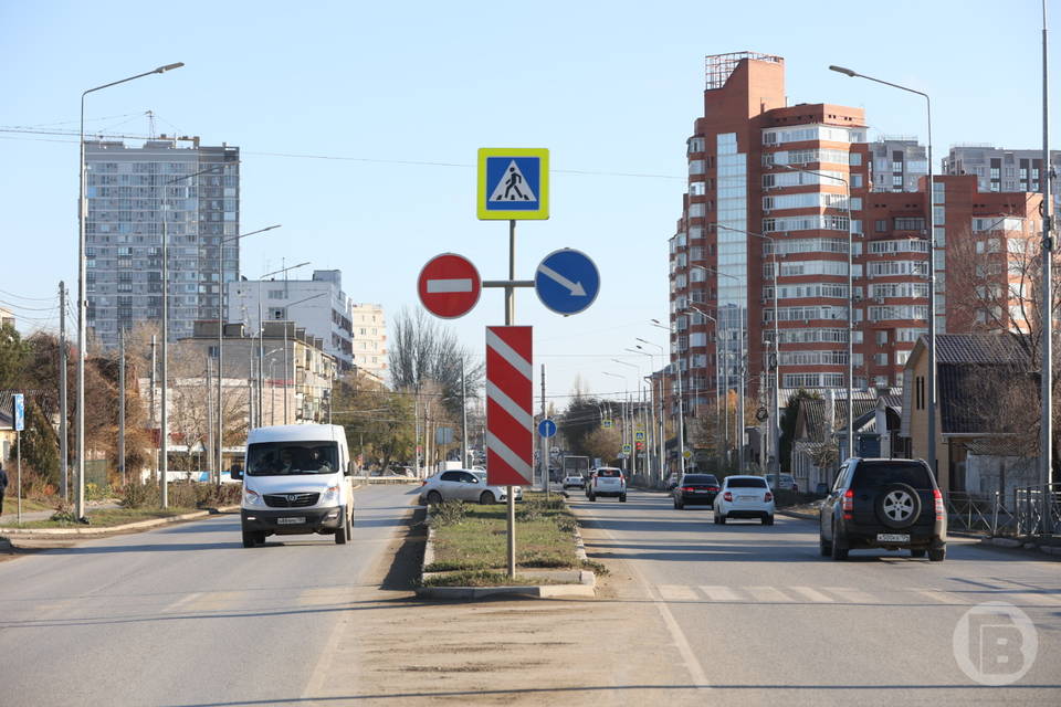 В Волгограде заметили мужчину, выгуливающего игрушку