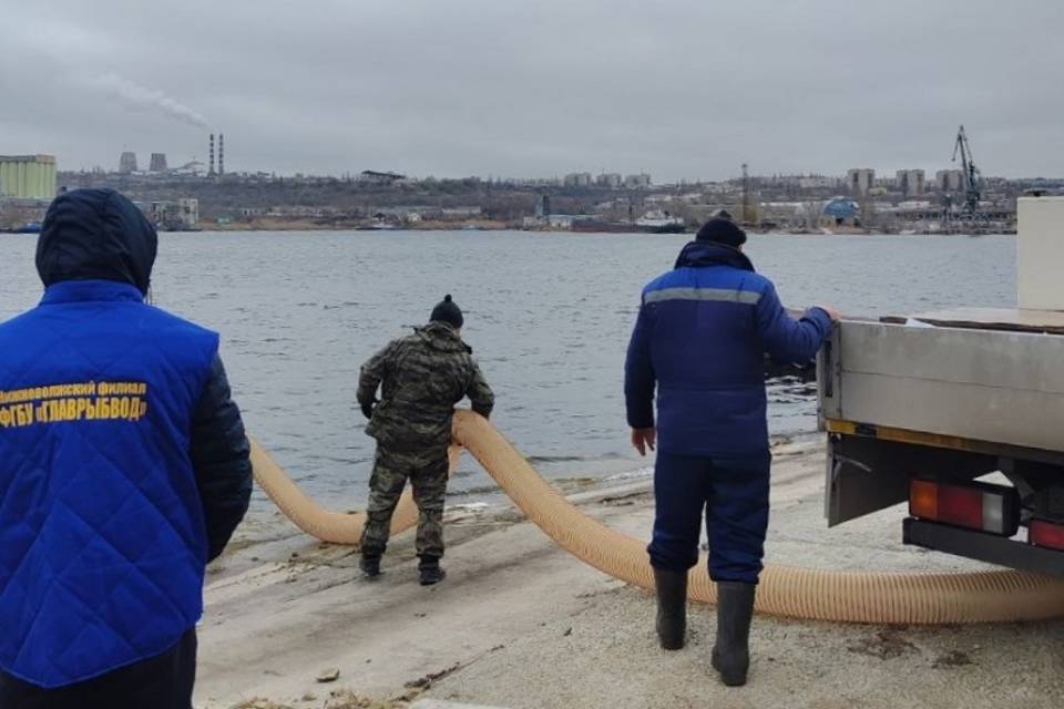 В Волгоградское водохранилище выпустили мальков толстолобика и белого амура