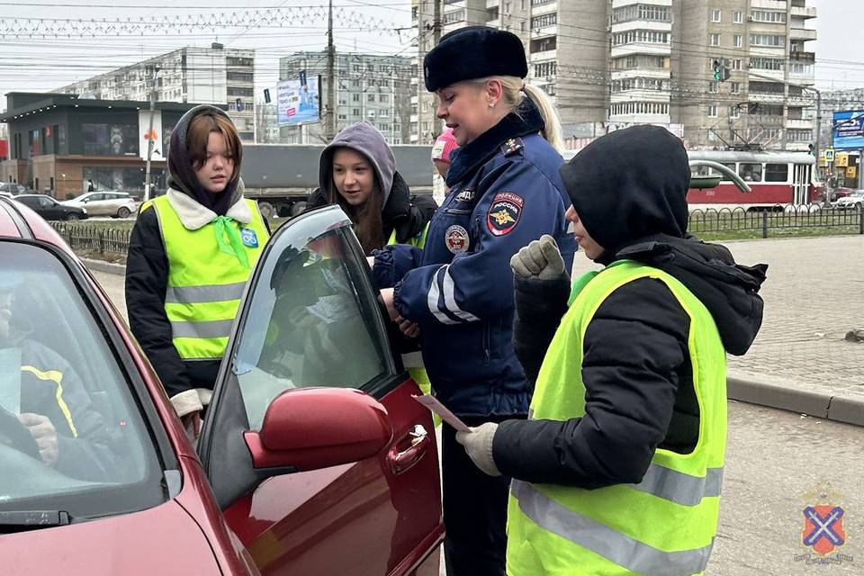 В Волгограде сотрудники ГИБДД вышли на пешеходные переходы