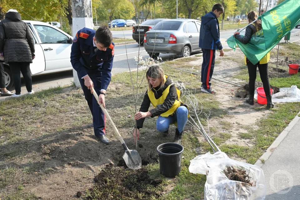 Молодые волгоградцы активнее стали участвовать в экологических мероприятиях