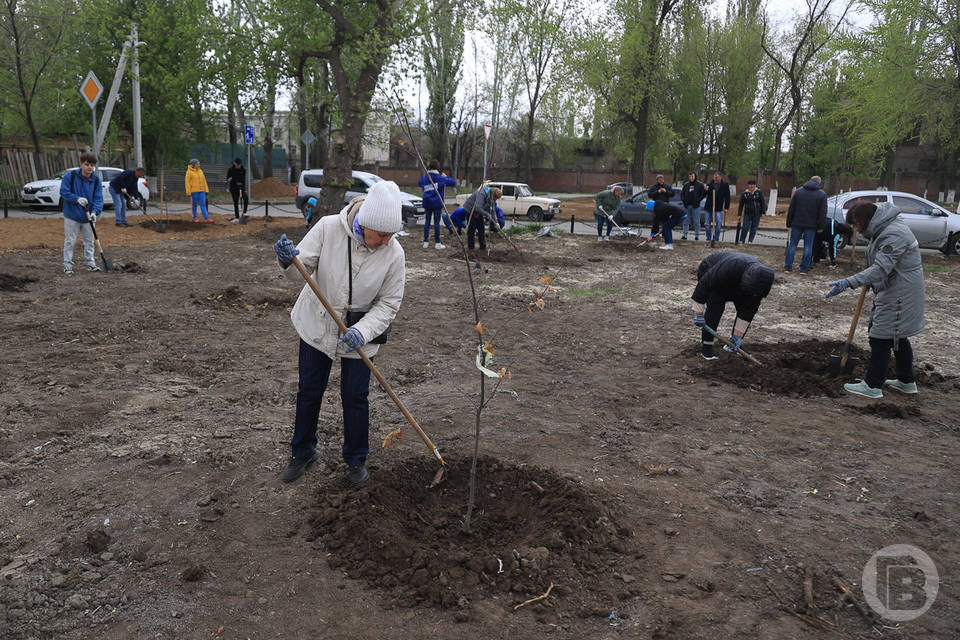 1500 акций по экопросвещению провели для волгоградцев