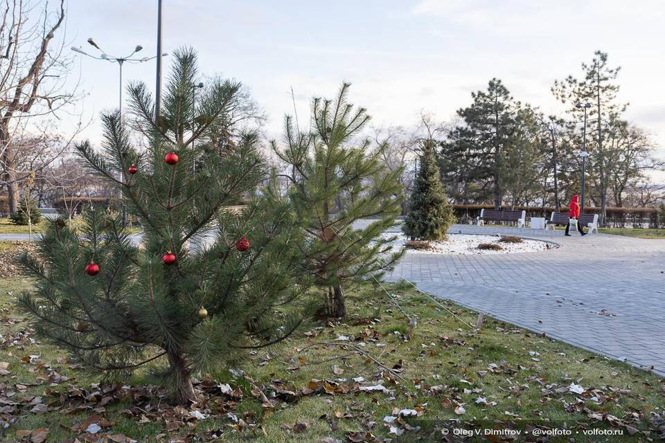 Что строго запрещено делать волгоградцам 11 декабря, чтобы избежать беды