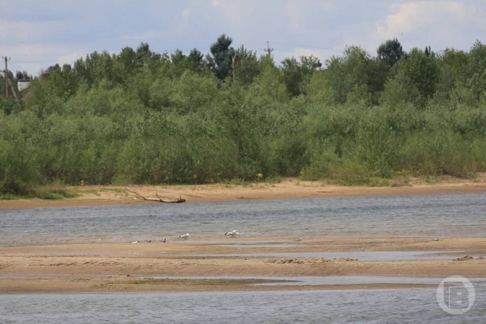 Волгоградское УФАС внесло в «черный» список компанию, не расчистившую русло реки