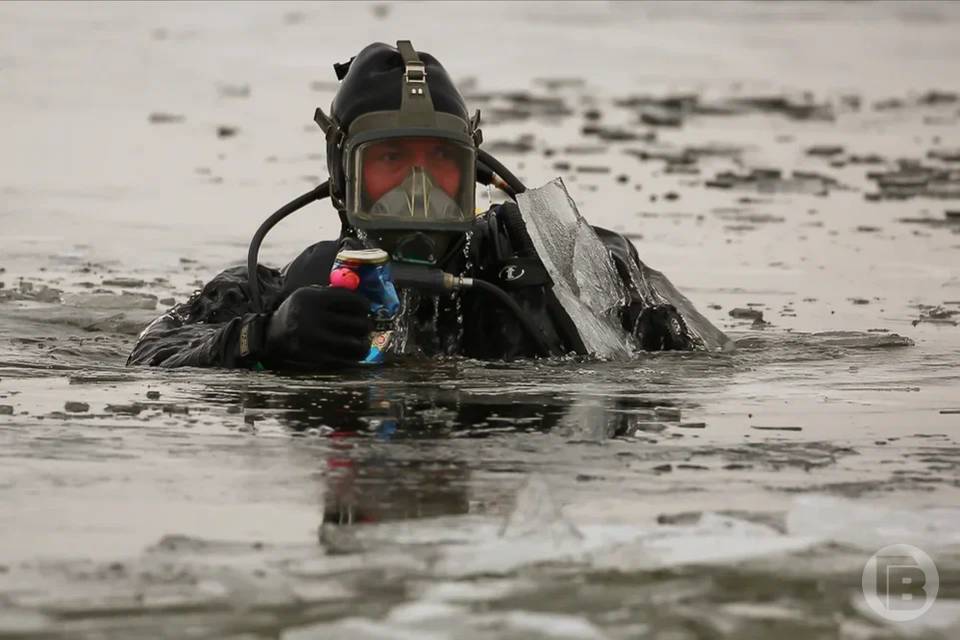 Среди волгоградцев ищут чеклистера, водолаза и кроликовода