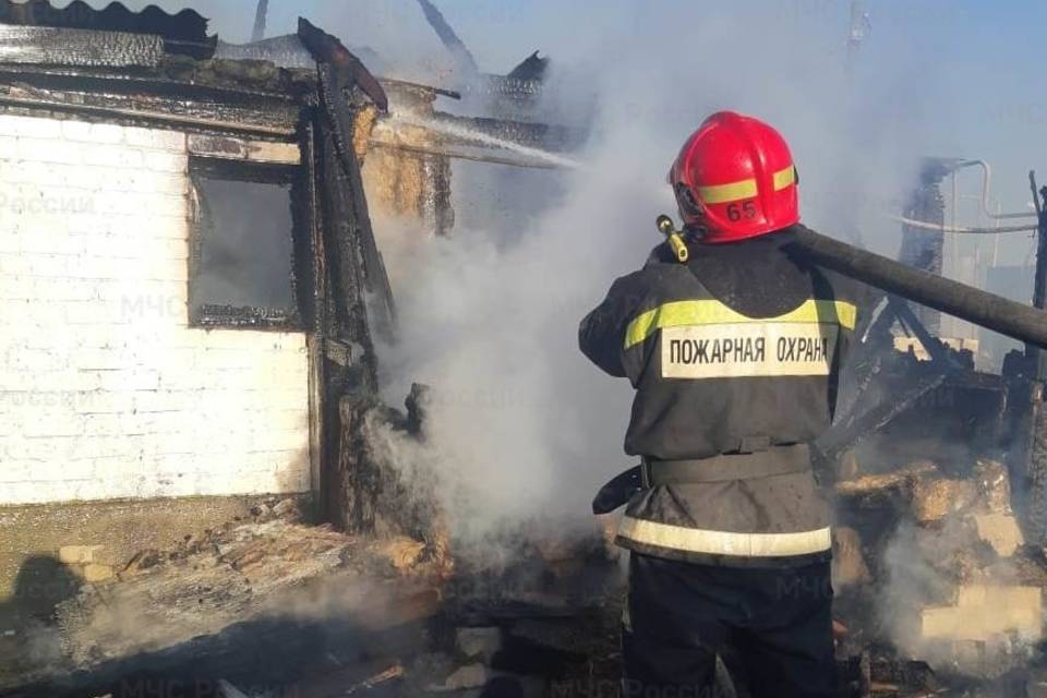 В Волгоградской области селянка сгорела вместе с домом