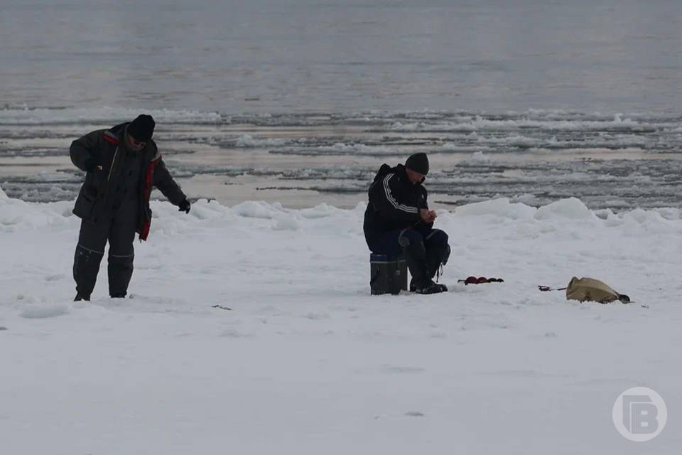 В Волгограде состоялся суд над рыбаком