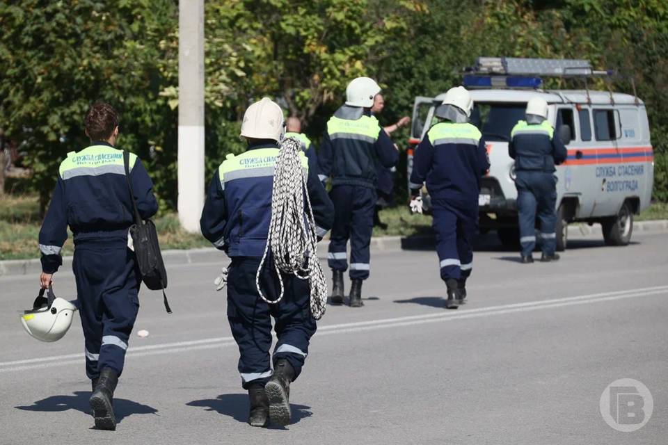 Волгоградцы обсуждают сокращение рабочей недели на час