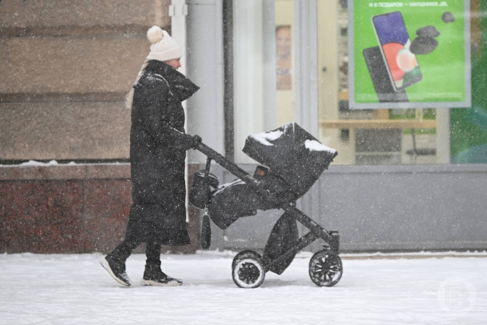 В Волгограде появились новорожденные Космос, Ыбрайым и Эсма