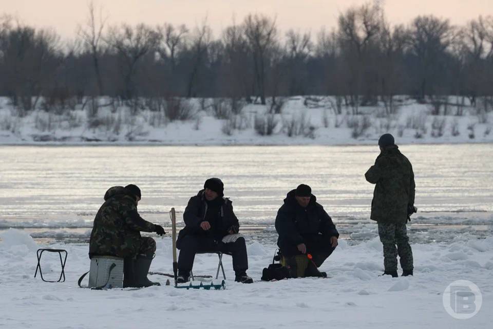 На волгоградских водоёмах спасают рыбу от заморов