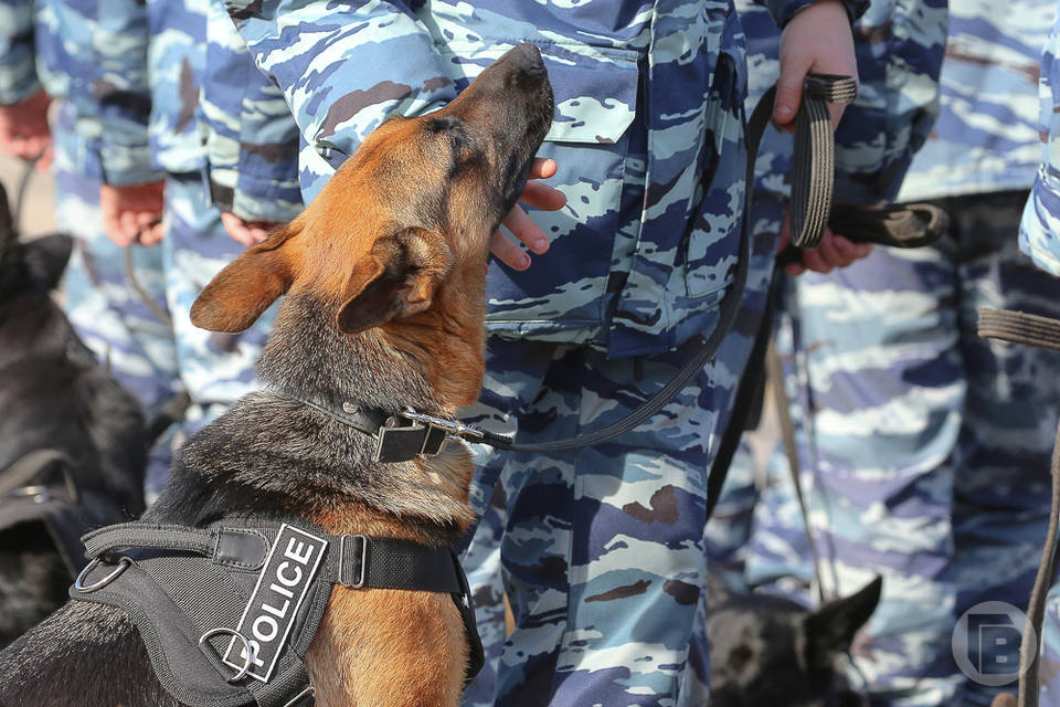 В Волгограде эвакуировали колледж машиностроения и связи