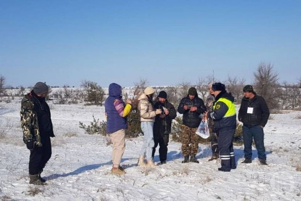 В охотугодьях Волгоградского региона подсчитывают диких животных