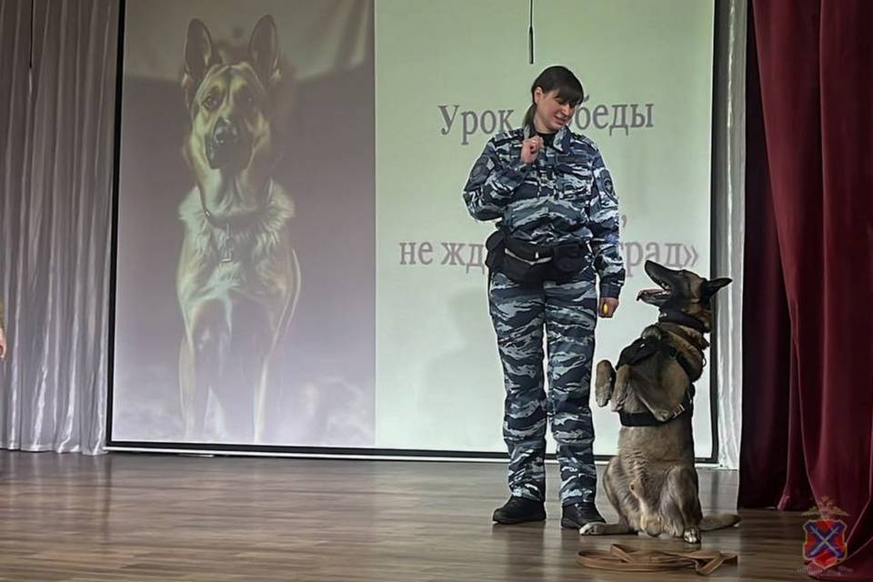 К волгоградским школьникам пришли кинологи вместе с питомцами