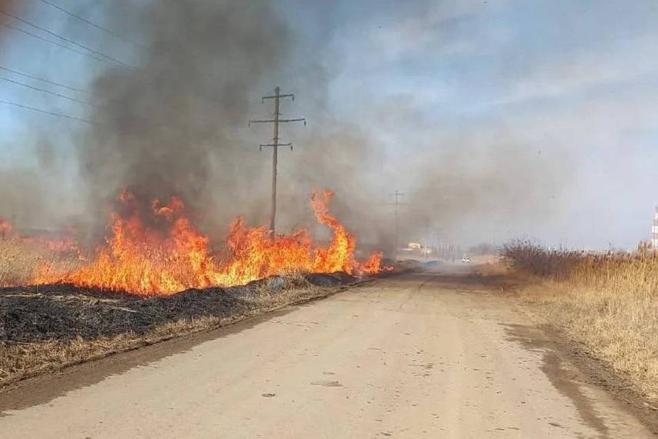 Под Волгоградом досрочно отжигают сухостой