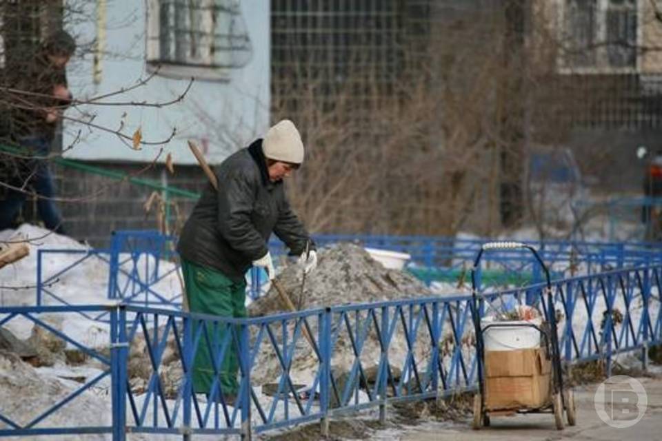 В Волгоградской области ищут профессиональных дворников